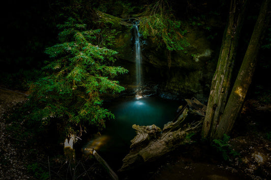 Big Basin Redwoods State Park