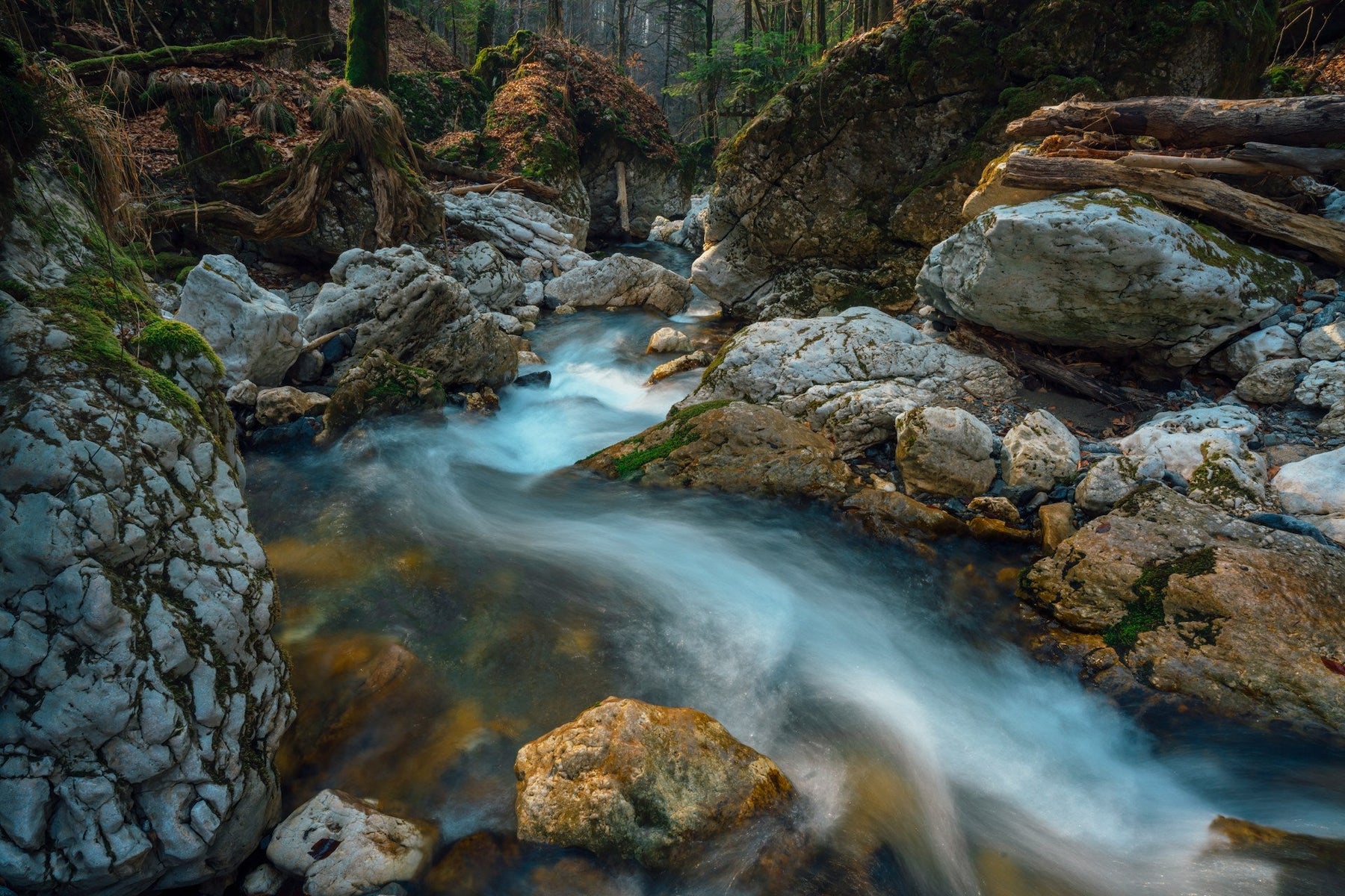 6 Best Hiking Trails Near Boulder Creek