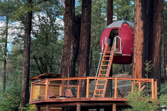 Glamping in Santa Cruz: Your Guide to Luxury Camping in the Redwoods