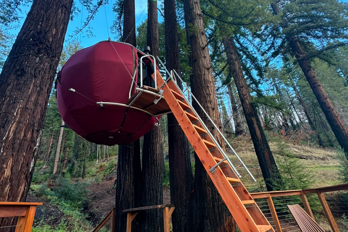 Tree Tent at Breathing Trees Camp